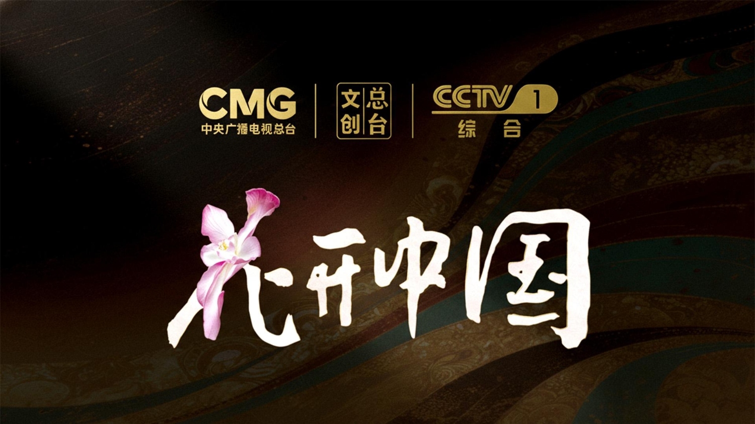 华光国瓷项目总结260125_8.jpg