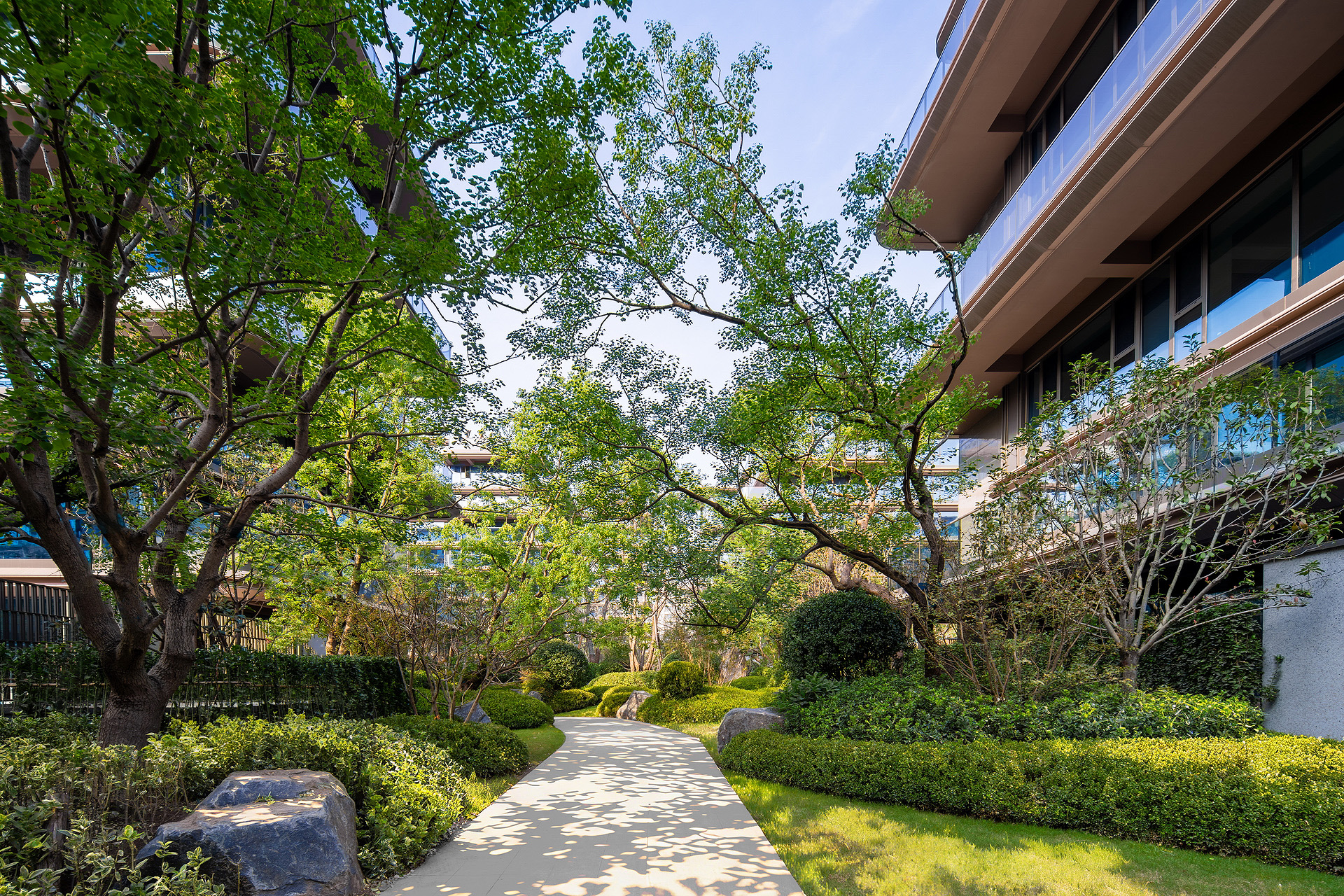 zibo landscape photography chenyuan entrance 12