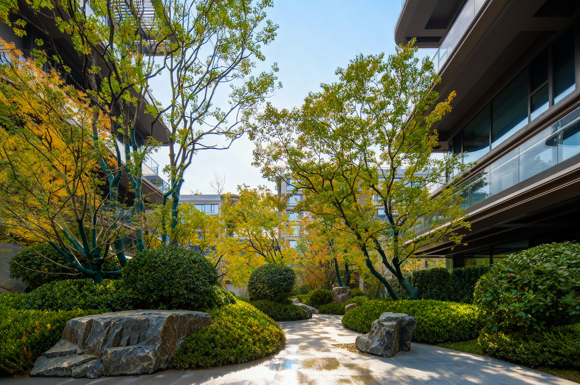 zibo landscape photography chenyuan entrance 13