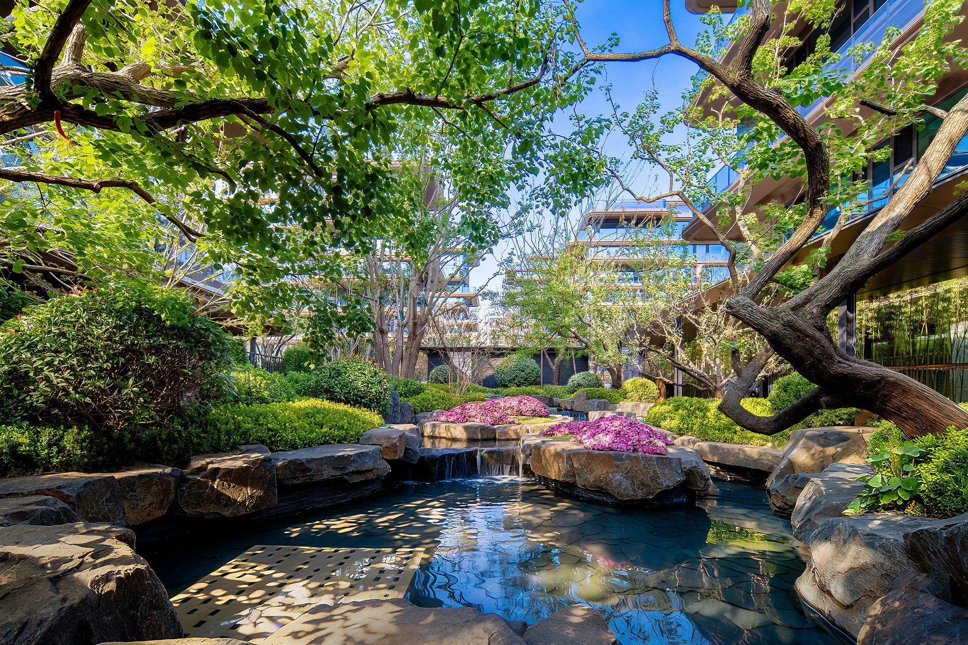 zibo landscape photography chenyuan entrance 08