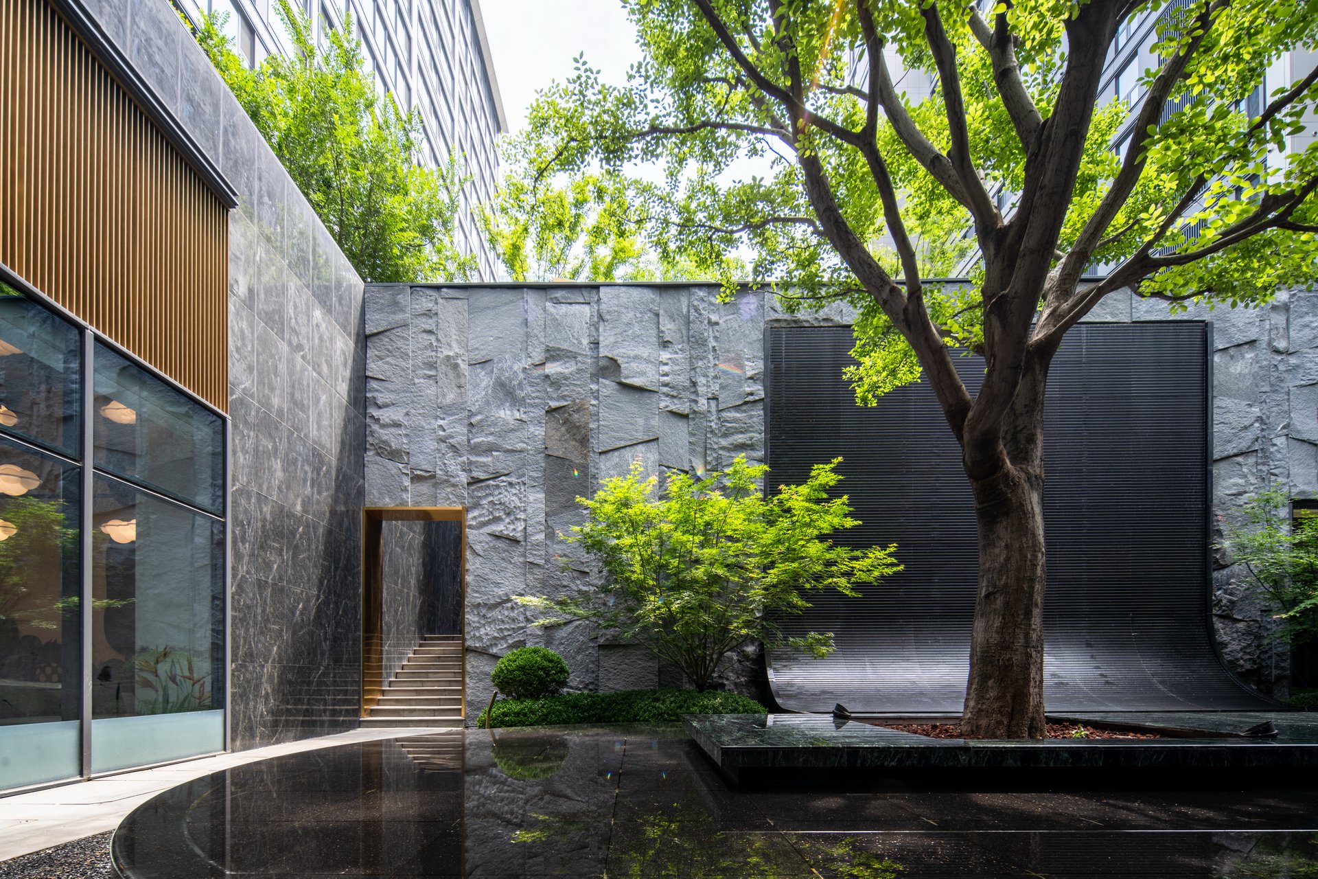 朗悦府会所内庭院古树与建筑景观摄影