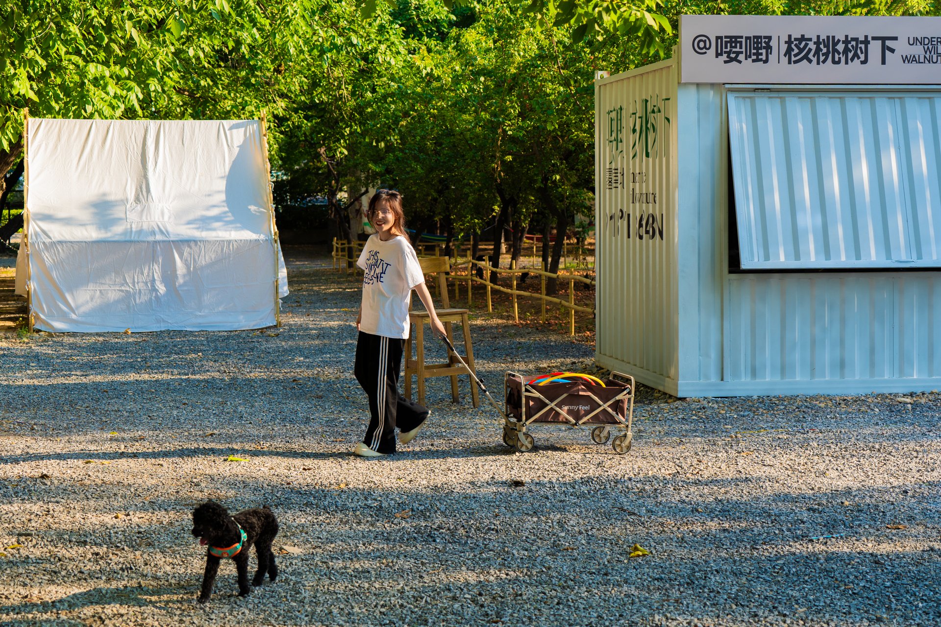 喓嘢露营白色星空帐篷公共空间摄影,精品露营酒店场景展示